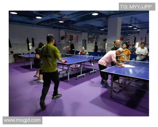 杭州乒乓球队实力分析与发展前景探讨聚焦乒乓球运动的未来潜力