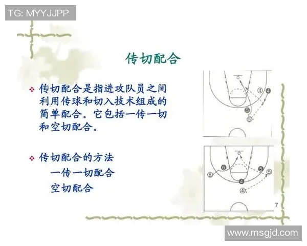杭州篮球队技术分析与战术探讨聚焦篮球运动发展新趋势 杭州篮球队技术分析与战术探讨聚焦篮球运动发展新趋势