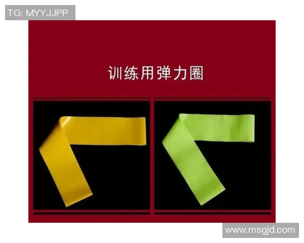 成都羽毛球队耐力训练的秘密与挑战探讨